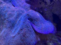 IMG_0268.jpeg
