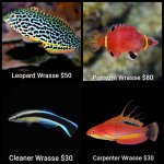 GridArt_20260420_230801514.jpg