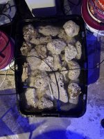 IMG_5563.jpeg