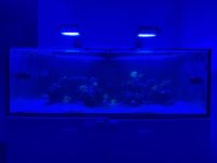IMG_8998.jpeg
