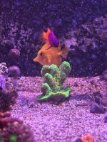IMG_8990.jpeg