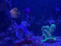 IMG_8988.jpeg