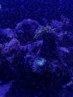 IMG_8987.jpeg