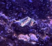 IMG_8984.jpeg
