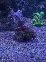 IMG_8980.jpeg