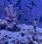 IMG_8977.jpeg