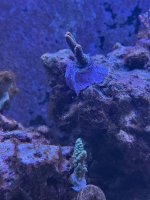 IMG_8976.jpeg