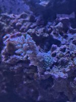 IMG_8974.jpeg