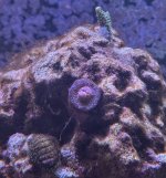 IMG_8973.jpeg