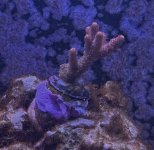 IMG_8972.jpeg