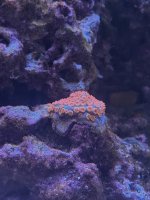 IMG_8971.jpeg