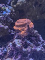 IMG_8969.jpeg