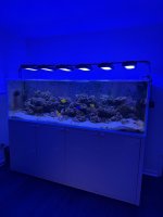 IMG_8922.jpeg