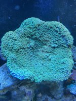 IMG_1628.jpeg