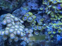 IMG_1600.jpeg