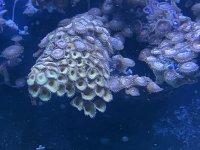 IMG_1602.jpeg
