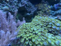 IMG_1599.jpeg
