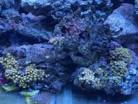 IMG_1554.jpeg