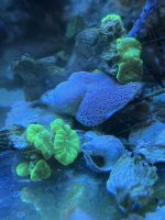 IMG_1642.jpeg