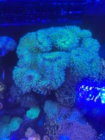 IMG_2520.jpeg