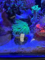 72a83a2f-d755-45c5-8b25-f3c097c68402.jpeg