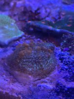 IMG_3514.jpeg