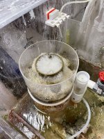 IMG_5786.jpeg