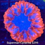 GridArt_20260426_223636042.jpg