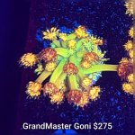 GridArt_20260426_223746865.jpg