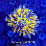 GridArt_20260426_222922134.jpg