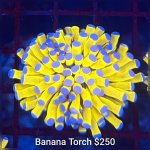 GridArt_20260426_222612332.jpg