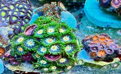 IMG_1955.jpeg