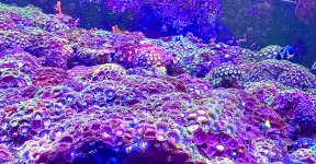 AquaCam_BAF2F69E.jpeg