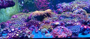 AquaCam_D8E5B4D8.jpeg