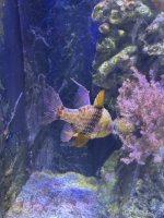 IMG_4699 Medium.jpeg