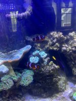 IMG_4698 Large.jpeg