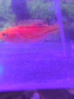 20260430_193152.jpg