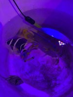 IMG_1180 (1).jpg