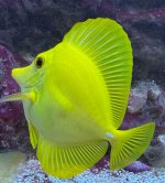 IMG_7657.jpg