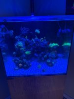IMG_4588.jpeg