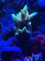 IMG_9714.jpeg