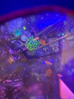 IMG_0408.jpeg