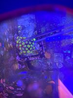 IMG_0409.jpeg
