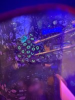 IMG_0410.jpeg