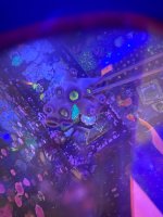 IMG_0411.jpeg