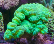 IMG_1999.jpeg