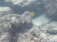 IMG_6537.jpeg