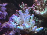 IMG_3941.jpeg