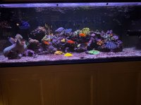 IMG_3936.jpeg
