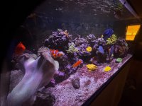 IMG_3937.jpeg